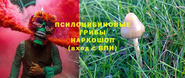 прущие грибы Балабаново