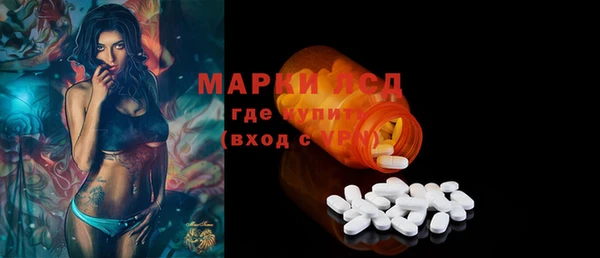 прущие грибы Балабаново