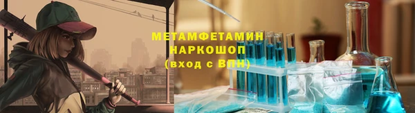 прущие грибы Балабаново