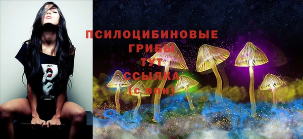 первитин Балахна