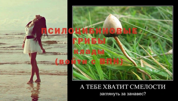 первитин Балахна