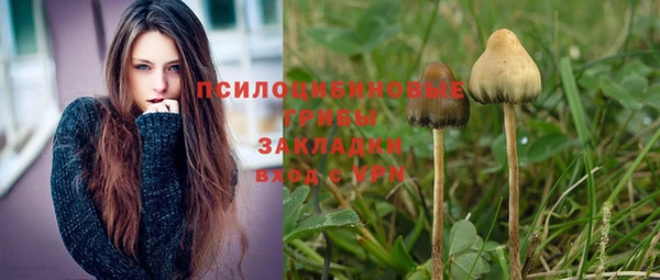 прущие грибы Балабаново