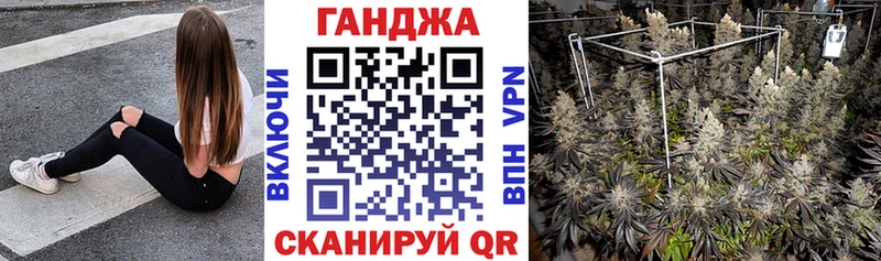 Бошки марихуана семена площадка телеграм Грязи